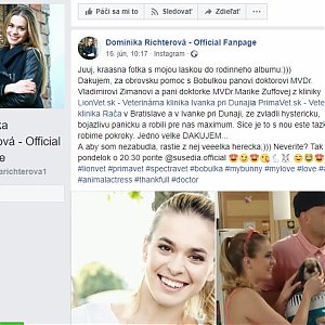 Chodia ku nám aj zvieracie celebrity známe z TV