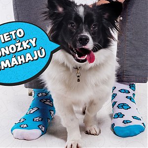 Veľká vianočná zbierka